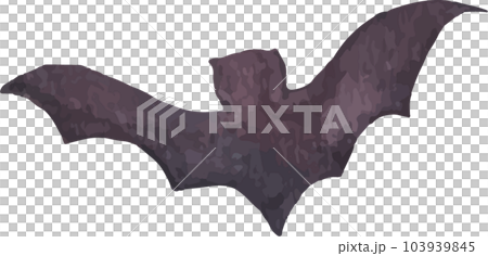 Watercolor painting of Black silhouette of bat. Watercolor painting of Black silhouette of bat. 103939845