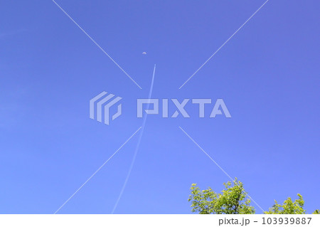 運気上昇 ： 昇り詰める！ 103939887