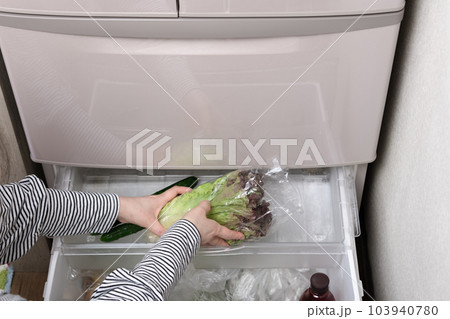 【野菜室からサニーレタスを出す主婦】 103940780