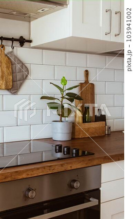 Kitchen brass utensils, chef accessories. Hanging kitchen with white tiles wall and wood tabletop.Green plant on kitchen background 103941002