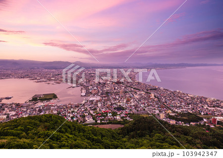 Night View from Mount Hakodate, Goryokaku Tower in Hokkaido, Japan. 103942347