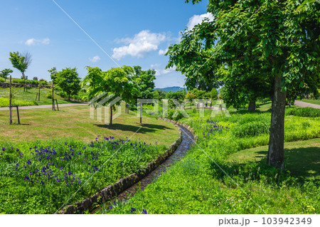 Asahikawa railway station and Kitasaito Garden in Asahikawa, Hokkaido, Japan 103942349