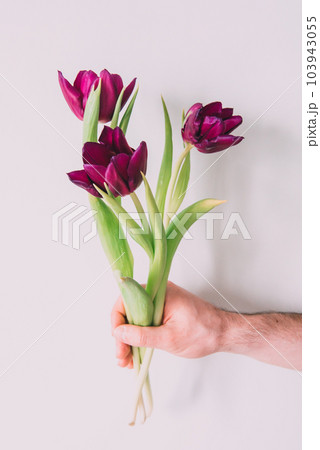 Mockup. White calla and violet tulip Flowers on a white wooden background. Flat lay, spring and summer background with copy space 103943055