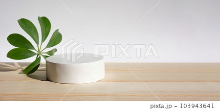 Podium for cosmetic product presentation. Abstract minimal geometrical form. Cylinder stone sphere one form, shadow. Scene to show products. Showcase, display. Trendy sunlight. Front view. 3D Podium for cosmetic product presentation. Abstract minimal geometrical form. Cylinder stone sphere one form, shadow. Scene to show products. Showcase, display. Trendy sunlight. Front view. 3D 103943641