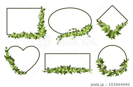 Green ivy frame. Botanic border, evergreen leaves and vines frames in square, ellipse, rhombus, and heart shapes vector set 103944940