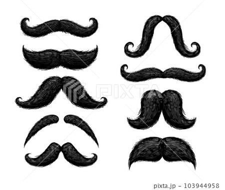 Hand drawn mustache. Old-fashioned curly...のイラスト素材 [103944958] - PIXTA