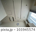 入院中すると見る天井　病室の天井 103945574