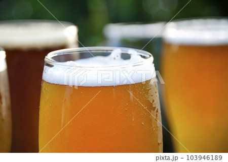 Beer. Drink in a beer mug. International beer day. August 4th. Cold and delicious drink. Beer. Drink in a beer mug. International beer day. August 4th. Cold and delicious drink. 103946189