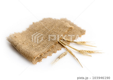 Wheat ears in burlap on white 103946190