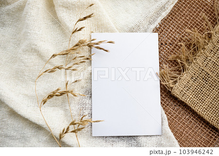 Stock stationery mock-up scene in a light key. Empty vertical greeting card and dried grains on white linen background. 103946242