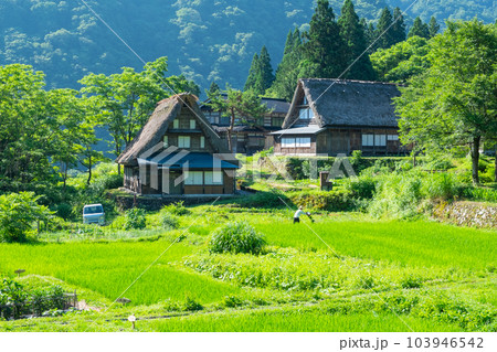 五箇山・相倉合掌造り集落(夏) 五箇山・相倉合掌造り集落(夏) 103946542