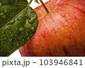 Single fresh wet red apple with leaf and drops isolated on white background 103946841