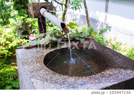 手水鉢 手水 手水鉢 手水 103947230