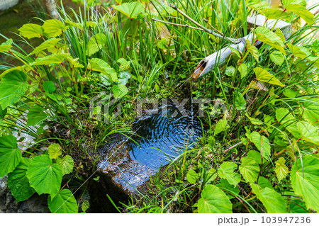 手水鉢 手水 手水鉢 手水 103947236