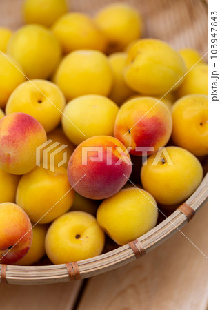 南高梅　梅 103947843