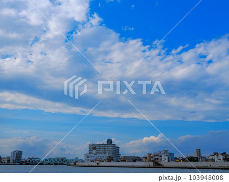 6月の梅雨の晴れ間の葛飾奥戸一景 103948008