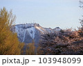 春の前田森林公園と手稲山 103948099