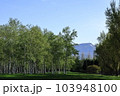 春の前田森林公園と手稲山 103948100
