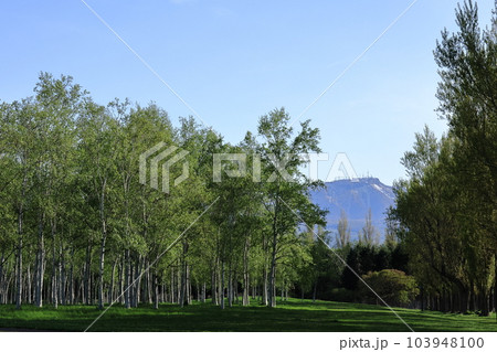 春の前田森林公園と手稲山 103948100