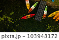Aerial view of a kayak in wetland, Rayong Botanic Garden, Rayong province Thailand. 103948172