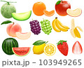 果物 フルーツ いろいろ 103949265