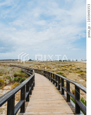 Wooden walkway or walking path to the ocean among sand dunes overgrown with grass Wooden walkway or walking path to the ocean among sand dunes overgrown with grass 103949353