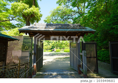 慶沢園　若葉に新緑 103949681