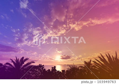 鮮やかグラデーションの風景、南の島サンセットアート 103949763