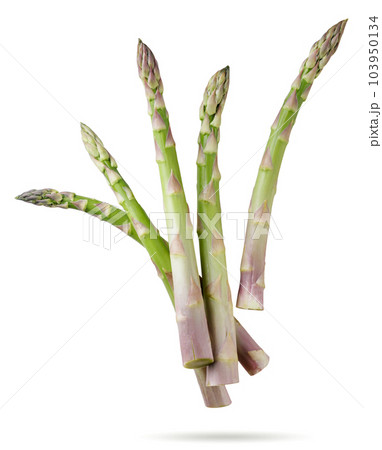 Asparagus flying close-up on a white background. Isolated Asparagus flying close-up on a white background. Isolated 103950134