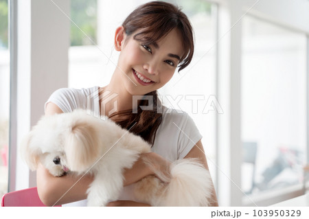 Young Asian smiling woman with her dog chihuahua at home. Young Asian smiling woman with her dog chihuahua at home. 103950329