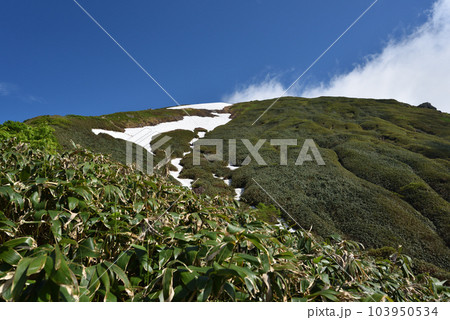 谷川岳登山、天神平コース、群馬県 谷川岳登山、天神平コース、群馬県 103950534