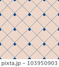 Geometric repeating vector ornament with diagonal lines and circles. Seamless abstract modern dark and light blue and beige pattern. Apparel pattern, lines and drops. 103950903