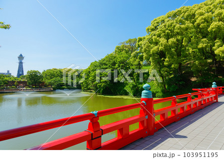 河底池に架かる和気橋と通天閣　茶臼山　若葉に新緑 103951195