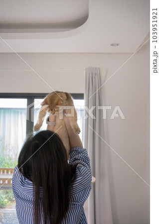 pet lover concept by asian woman she work and play with her cat pet lover concept by asian woman she work and play with her cat 103951921