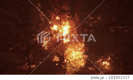 Intense flames from a massive forest fire Intense flames from a massive forest fire 103952157