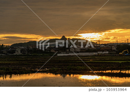 朝焼けの小牧山城遠望 朝焼けの小牧山城遠望 103953964