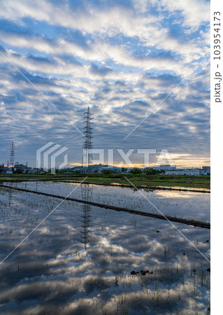 早朝の小牧山城遠望 早朝の小牧山城遠望 103954173