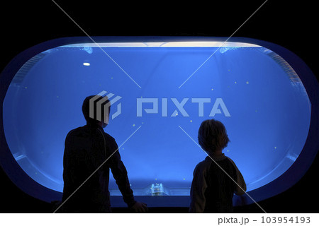 Silhouette of two children observing a large jellyfish aquarium. 103954193