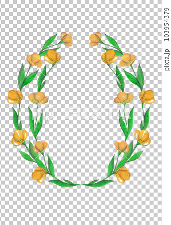 Yellow tulips. Watercolor illustration. Oval floral frame for your design 103954379