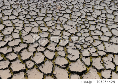 Crack. Dry soil. The global shortage of water on the planet. Global warming and greenhouse effect concept. The parched soil. Baraje. Soil drought cracked texture. 103954429