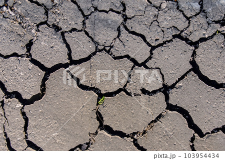 Crack. Dry soil. The global shortage of water on the planet. Global warming and greenhouse effect concept. The parched soil. Baraje. Soil drought cracked texture. 103954434