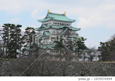 Nagoya Castle, Aichi, Japan Nagoya Castle, Aichi, Japan 103954994