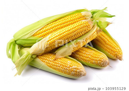 Farm-Fresh Sweet Corn on the Cob - Generative AI 103955129