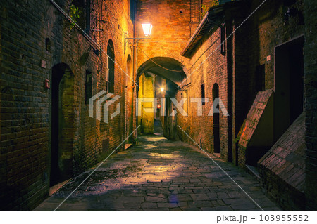 Narrow street in Siena, Italy Narrow street in Siena, Italy 103955552