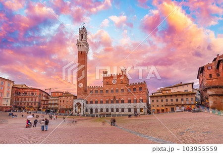 Piazza del Campo in Siena Piazza del Campo in Siena 103955559