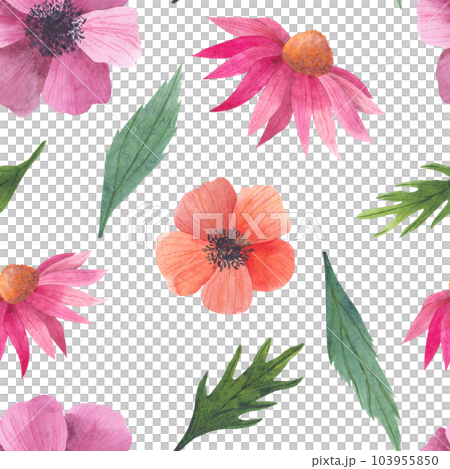 Watercolor seamless pattern with anemone and echinacea buds. Watercolor print isolated on white background for textile or wallpapers, illustration in provence style Watercolor seamless pattern with anemone and echinacea buds. Watercolor print isolated on white background for textile or wallpapers, illustration in provence style 103955850