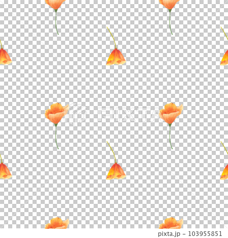 Watercolor seamless pattern with flowers California poppy. Watercolor print isolated on white background for textile or wallpapers, illustration in provence style Watercolor seamless pattern with flowers California poppy. Watercolor print isolated on white background for textile or wallpapers, illustration in provence style 103955851