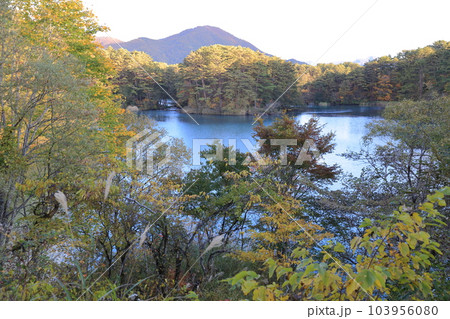紅葉の時期の毘沙門沼(五色沼湖沼群 福島県 北塩原村 裏磐梯) 紅葉の時期の毘沙門沼(五色沼湖沼群 福島県 北塩原村 裏磐梯) 103956080