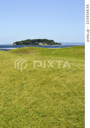 海辺の公園 芝生広場 海辺の公園 芝生広場 103956636