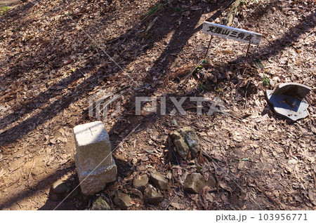 文殊山　奥の院の二等三角点 103956771